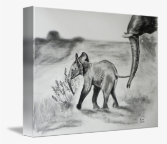 Baby Elephant Charcoal Drawing - Elephant Charcoal Drawing, HD Png Download, Free Download