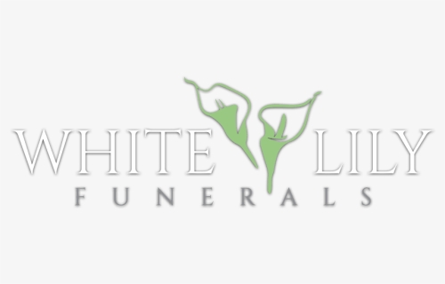 Graphics, HD Png Download, Free Download