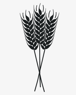 Wheat, HD Png Download, Free Download