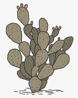 The Drawhorns-13 - Eastern Prickly Pear, HD Png Download, Free Download