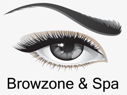 Eye Brow Vector Png, Transparent Png, Free Download