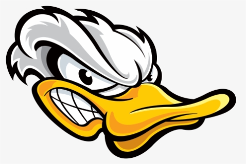 Angry Duck - Angry Duck Cartoon, HD Png Download, Free Download