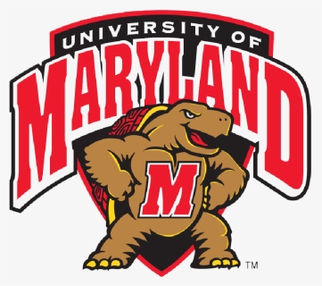 University Of Maryland Clipart - Maryland Terrapins Football Logo, HD Png Download, Free Download