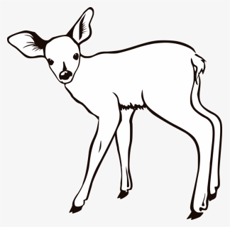 Fawn Outline, HD Png Download, Free Download