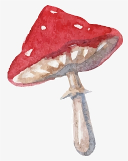 Alice In Wonderland Mushroom Png, Transparent Png, Free Download