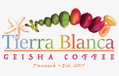 Tierrablanca Final, HD Png Download, Free Download