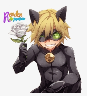 Adrien Agreste Black Cat Kitten Online Chat - Miraculous Chat Noir Anime, HD Png Download, Free Download