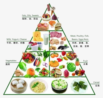 Food Pyramid Png - Free Download Food Pyramid, Transparent Png, Free Download