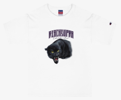 Black Cat, HD Png Download, Free Download