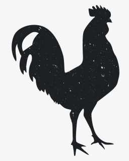 Silhouette Rooster Animal Computer File - Silhouette, HD Png Download, Free Download