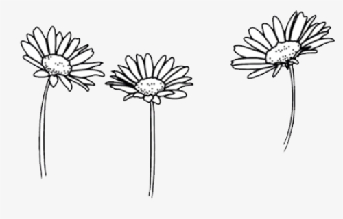 #flower #art #flowers #doodle #freetoedit - Flower Drawings Black And White, HD Png Download, Free Download
