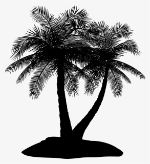 Asian Palmyra Palm Date Palm Palm Trees Silhouette - Silhouette, HD Png Download, Free Download