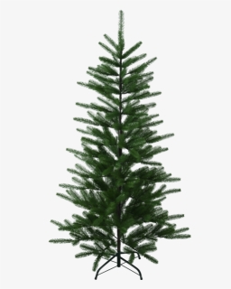 Christmas Tree Boden - Weihnachtsbaum Tanne, HD Png Download, Free Download