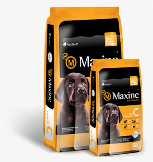 Maxine Comida Para Perros, HD Png Download, Free Download