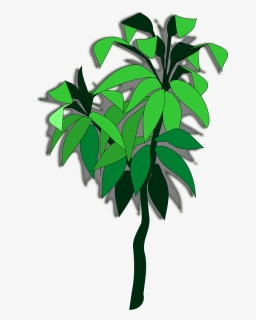 Plant-06a - Cassava Tree Png, Transparent Png, Free Download