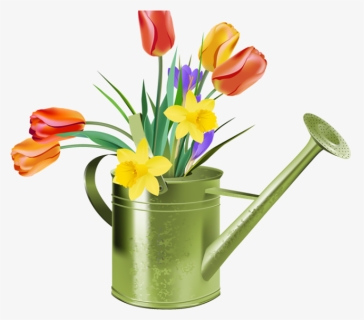 Free Tulip Cliparts - Flowers In Watering Can Clipart, HD Png Download, Free Download