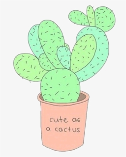 #tumblr❤#cute #cactus #catusflower#catuschic #love - Eastern Prickly Pear, HD Png Download, Free Download