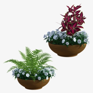 Flowerpot, HD Png Download, Free Download