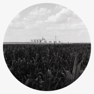Distant Cornfield Silos - Circle, HD Png Download, Free Download