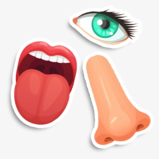 Eyes - Avoid Touching Your Eyes Nose And Mouth Png, Transparent Png, Free Download