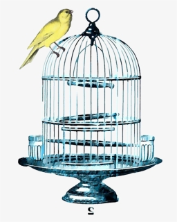 Birdcage Watercolor , Png Download - Birdcage, Transparent Png, Free Download