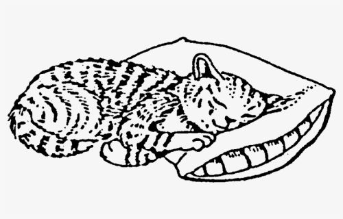 Transparent Sleeping Cat Png - Line Art, Png Download, Free Download