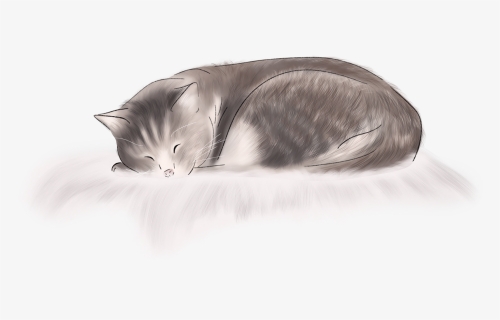 #cat #kitten #sleeping #sleepingcat #fluffy #relax - Domestic Short-haired Cat, HD Png Download, Free Download