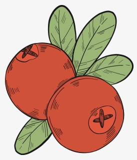 Two Cranberries Clipart - Berry, HD Png Download, Free Download