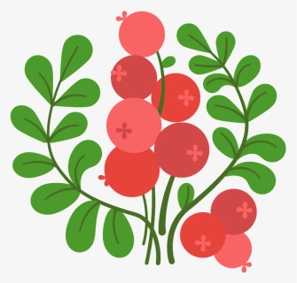Cranberry Clipart, HD Png Download, Free Download