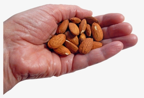 Enjoy A Healthy Handful Of Nuts - Ounce Of Nuts, HD Png Download, Free Download