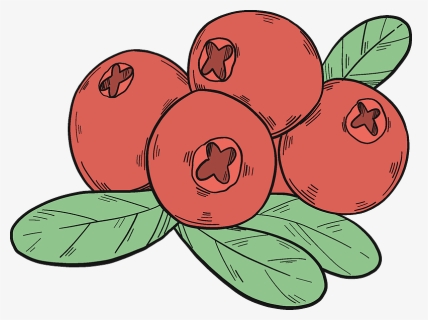 Cranberries Clipart - Berry, HD Png Download, Free Download