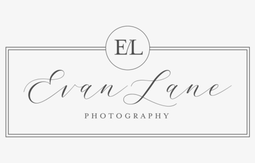 Calligraphy, HD Png Download, Free Download