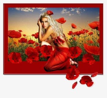 Poppies And Women - Greeting Card, HD Png Download, Free Download