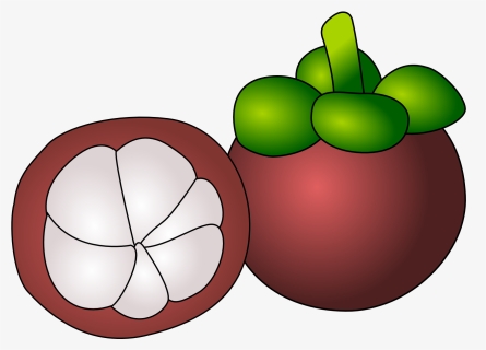 Purple Mangosteen Thai Cuisine Cartoon Food Drawing - Mangosteen Clipart, HD Png Download, Free Download
