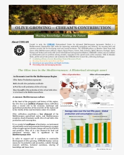 Brochure, HD Png Download, Free Download