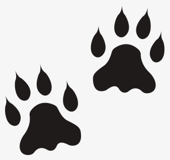 Lion Paw Clipart Jpg Black And White Download Lion, HD Png Download, Free Download