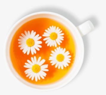 Dummy - Chamomile Tea Top View, HD Png Download, Free Download