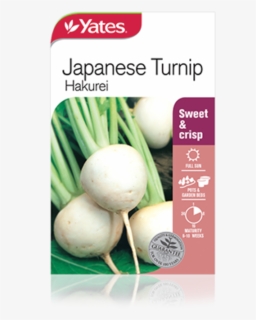 Japanese Turnip Hakurei - Yates Lettuce Seeds, HD Png Download, Free Download