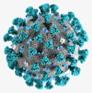 Coronavirus Disease Png Transparent Image - Coronavirus Png, Png Download, Free Download