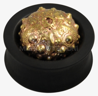 Ebony Plug With Brass Exoskeleton Sea Urchin Ear - Brass, HD Png Download, Free Download