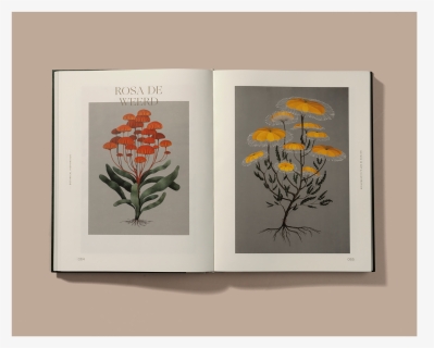 Ogg Botanicalinspiration 5 - Botanical Inspiration Nature In Art And Illustration, HD Png Download, Free Download