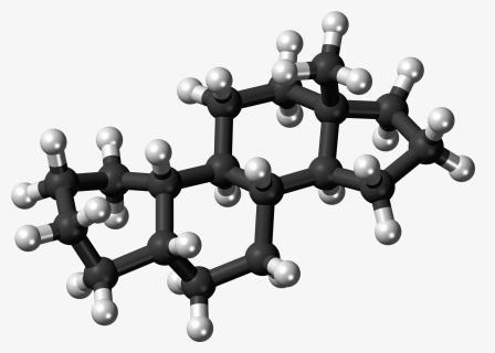 5beta-estrane Molecule Ball - Testostérone Molécule, HD Png Download, Free Download