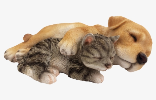 Labrador Pup With Kitten Sleeping - Paw, HD Png Download, Free Download