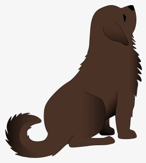 Sea Lion Clipart, HD Png Download, Free Download