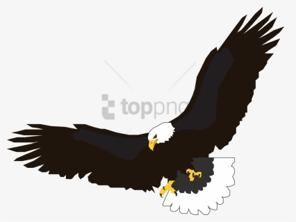 Free Png Download Eagle Flying Png Images Background - Soaring Eagle Images Clip, Transparent Png, Free Download