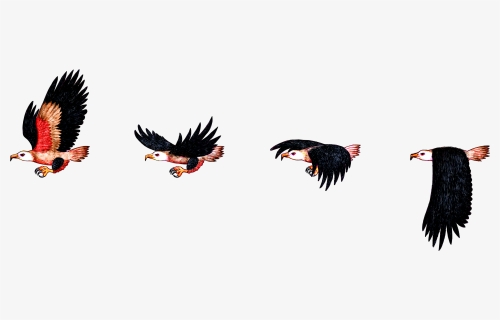 Hd Img, Flight Of The Eagle - Bird Sprite Sheet Png, Transparent Png, Free Download