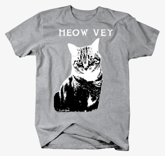 Funny Cat Png, Transparent Png, Free Download