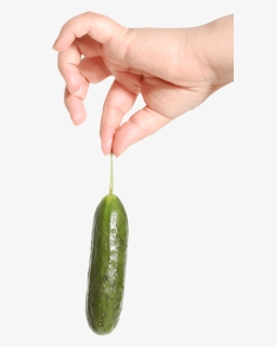 Transparent Cucumber Slice Png - Hand Holding Food Transparent, Png Download, Free Download