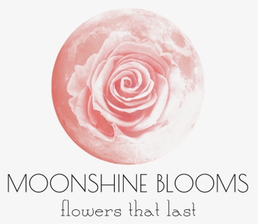 Garden Roses, HD Png Download, Free Download