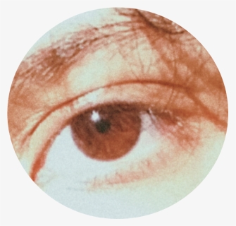 #eyes #tumblr #png #brown - Close-up, Transparent Png, Free Download